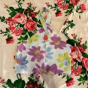 Aritzia Sunday Best Floral Halter Crop Top